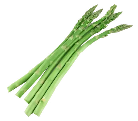Green Asparagus from Ica Valley, Peru