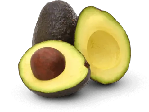 Hass Avocado from Peru and Chile