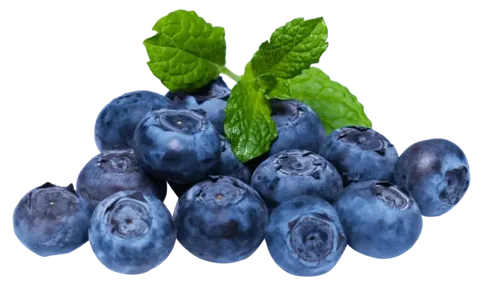 Premium Peruvian Blueberries