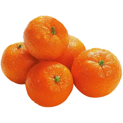 Tangelo Citrus from Peru and Chile