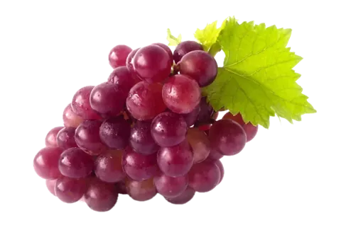 Red Globe Grapes from Chile