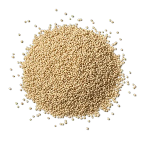 Royal Quinoa from the Peruvian Altiplano